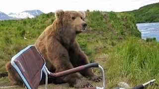 ► Étonnante rencontre avec un ours !