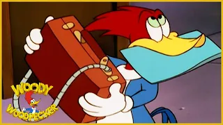 Woody Woodpecker Show | Spy-Guy | 1 Hour Woody Woodpecker Compilation | Videos For Kids