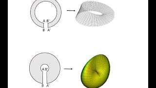 Understanding The Equivalence Of The Mobius Strip And The Cross Cap Using The Annulus
