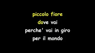 I Teppisti Dei Sogni - Piccolo Fiore - Karaoke - molto lento