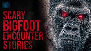 Texas Bigfoot, Ohio Sasquatch And More Bigfoot Sightings | True Scary Stories Of Bigfoot