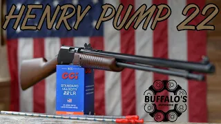 HENRY PUMP ACTION .22