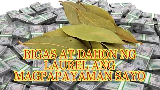 BIGAS AT DAHON NG LAUREL ANG MAGPAPAYAMAN SAYO | GIO AND GWEN LUCK AND MONEY CHANNEL