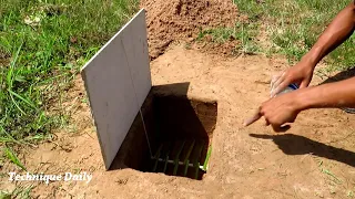 Technique Underground Quail Bird Trap Using Dead fall Trap Made Work 100%
