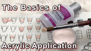 The Basic of Acrylic Application | Monomer to Acrylic Powder Ratio