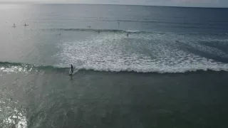 Bantham Surf