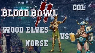 Blood Bowl 2 - Wood Elves (the Sage) vs Norse - COL G17