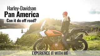 2021 Harley-Davidson Pan America First Ride Off Road Review