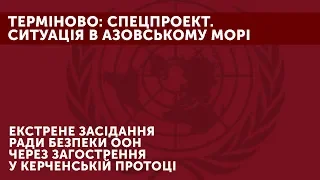 Спецпроект. Екстрене засідання Ради безпеки ООН через загострення в Керченській протоці