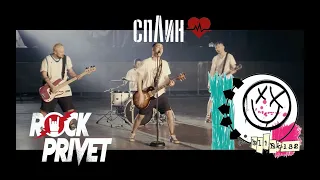 Cплин /  Blink-182 - Моё Сердце (Cover by ROCK PRIVET)