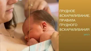 Грудное Вскармливание. Правила Грудного Вскармливания. Новорожденный