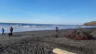 Mining Gold at Cape Disappointment