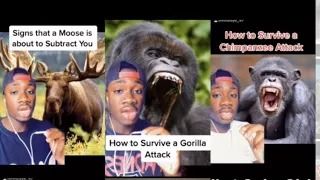 How to Survive Any Animal Attack (Mndiaye_97 Compilations) Original