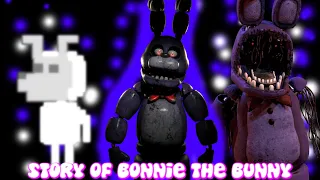 The Entire Lore and Story of Bonnie The Bunny / Jeremy | FNAF Backstory (TGBSV)