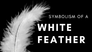 Symbolism of a White Feather - What does it mean if you see one?