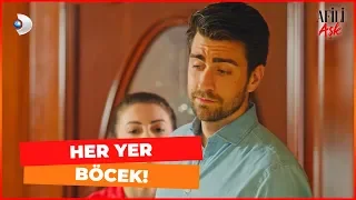 Muhsin Bey'lerin Evini Böcek Bastı! - Afili Aşk 4. Bölüm