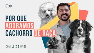 Por que poodles não existem mais-PODCAST Não Ficção