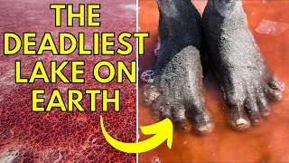 10 Most Horrifyingly Mysterious Lakes in the World | What If You Jumped Into Lake Natron?