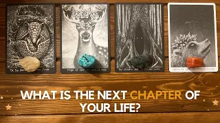 What is the next chapter of your life? ✨ 📘✨ | Pick a card