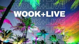 wook+live |  Phish Phish Goose