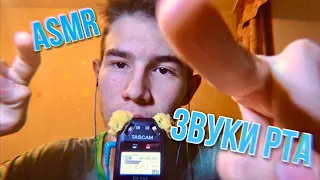 АСМР ЗВУКИ РТА 😴 asmr mouth sound