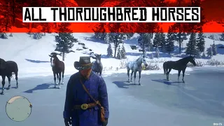 Red Dead Redemption 2 - All Thoroughbred  horses.