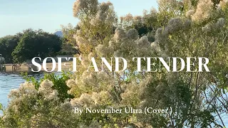 November Ultra- Soft and Tender (cover)