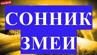 К чему СНИТСЯ ЗМЕЯ. Что означает сняться змеи сон. Толкование сна и сонник онлайн кобра атакует