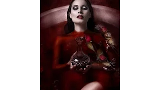 The Blood Countess Elizabeth Bathory A complete History The Writer's Block Radio Show