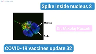 Spike protein in nucleus "NEWS" - COVID-19 vaccines update 32