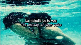 Summer Love - David Tavare [letra // lyrics]