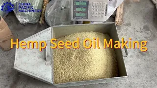 Cold Pressed Hemp Seed Oil Machine|Hemp Seed Oil Processing|Oil Extraction Machines|Oil Press