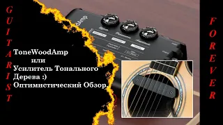 ToneWoodAmp или Усилитель Тонального Дерева :) Оптимистический Обзор.