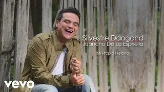 Silvestre Dangond, Juancho De La Espriella - Mi Propia Historia (Cover Audio)