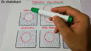 Renal physiology 16 | Isosmotic vs Isotonic | Hypotonic vs Hypo-osmotic | Hypertonic Hyperosmotic