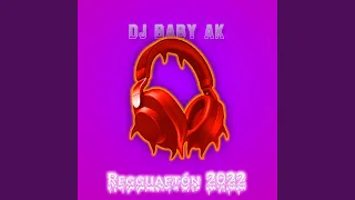 Reggaetón 2022 - Dj Baby AK