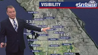 New Year's Day forecast for Tampa Bay Area