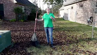 What to do with leaves on the ground?