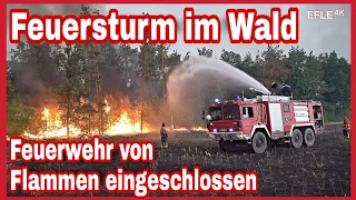 Waldbrand bei Falkenberg/Elster gerät außer Kontrolle/Feuerwehr muss sich vor dem Feuersturm retten