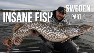 WE CAUGHT THE MOST AMAZING PIKE!