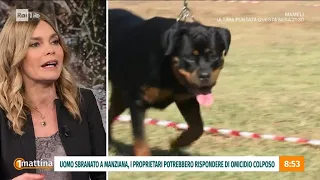 Cani pericolosi - Unomattina - 13/02/2024