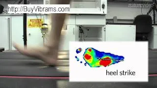 Barefoot Running Video Article by Harvard Professor