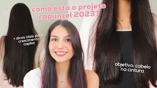 RESULTADOS 6 MESES DE PROJETO RAPUNZEL | Como eu fiz para o meu cabelo crescer + dicas crescimento