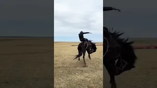 😜😜 Beautiful Horse  Dance 😳😳🐎 #shorts #youtubeshorts #beautiful  #horse #dance