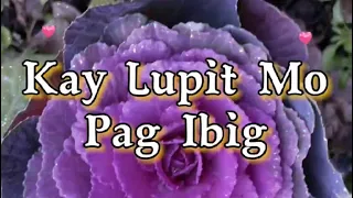 Kay Lupit Mo Pagibig (Victor Wood )_cover by Eli Ventayen