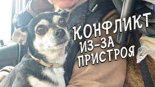 Спасение животных / Собачку закрывали в квартире одну когда уезжали