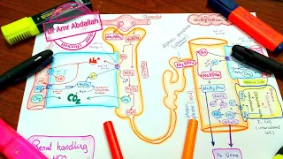 Acid Base Balance | Dr Amr Abdallah