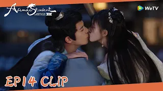 EP14 Clip | Yunzhi climbed the wall at night to meet Sang Qi! | 国子监来了个女弟子| ENG SUB