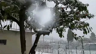 Первый снег в Абхазии