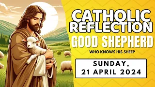 Good Shepherd | Sunday Homily Reflection